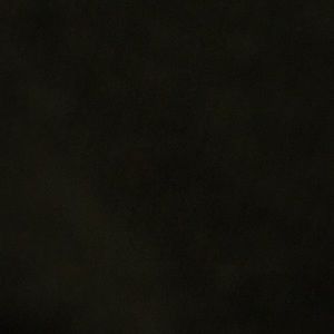 Meet your Posher, Darius